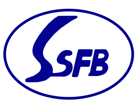 bdssfb.com Logo